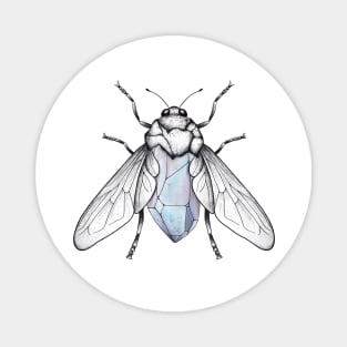 Crystal Bee Design Magnet